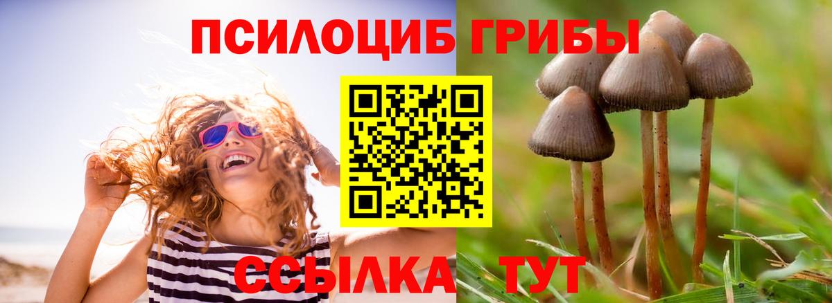 Галлюциногенные грибы GOLDEN TEACHER Зеленодольск