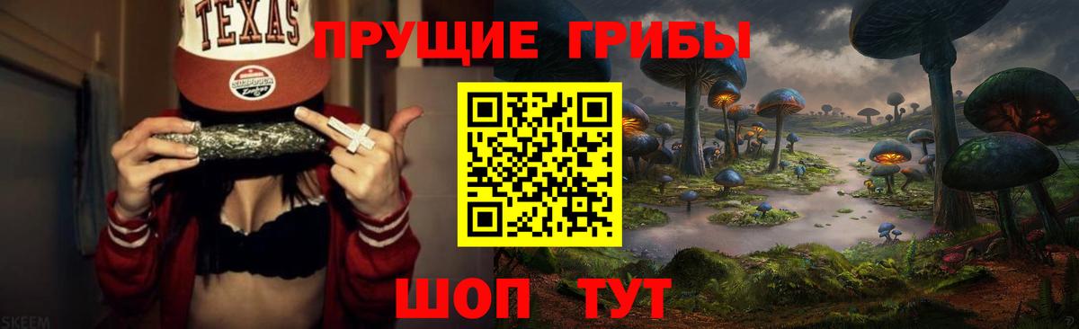 Зеленодольск  Галлюциногенные грибы Psilocybine cubensis  Галлюциногенные грибы мицелий  Вход с VPN 